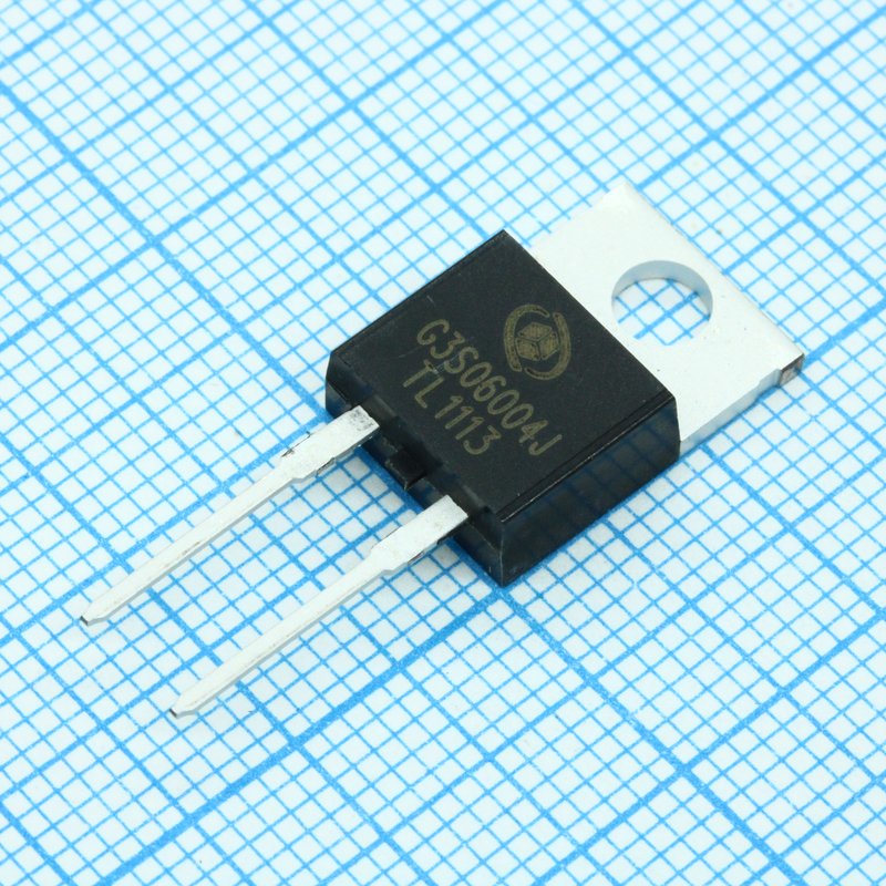 G3S06004J GPT