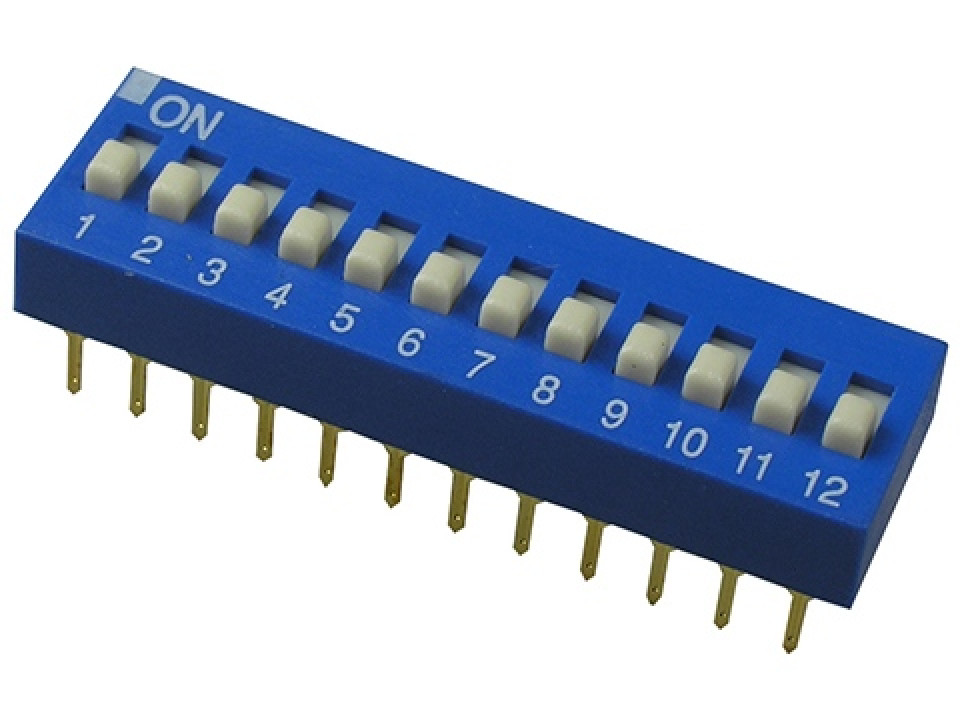 DS-12BBU-G Switronic